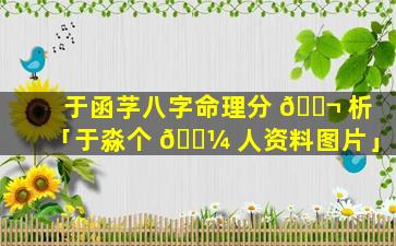 于函芓八字命理分 🐬 析「于淼个 🐼 人资料图片」